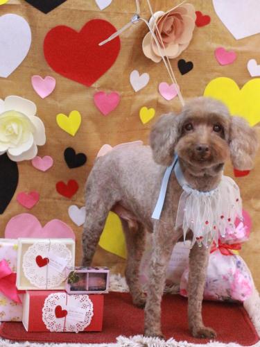 20230201アブーくん